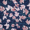Oxalis – Image 2