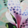 Magnolia – Image 2