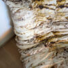 Pleats Please – Image 7