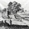 Gravure Arbres Architecture – Image 2