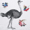 Gravure Autruche Oiseaux – Image 5