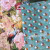 Pois dominotés – Image 7