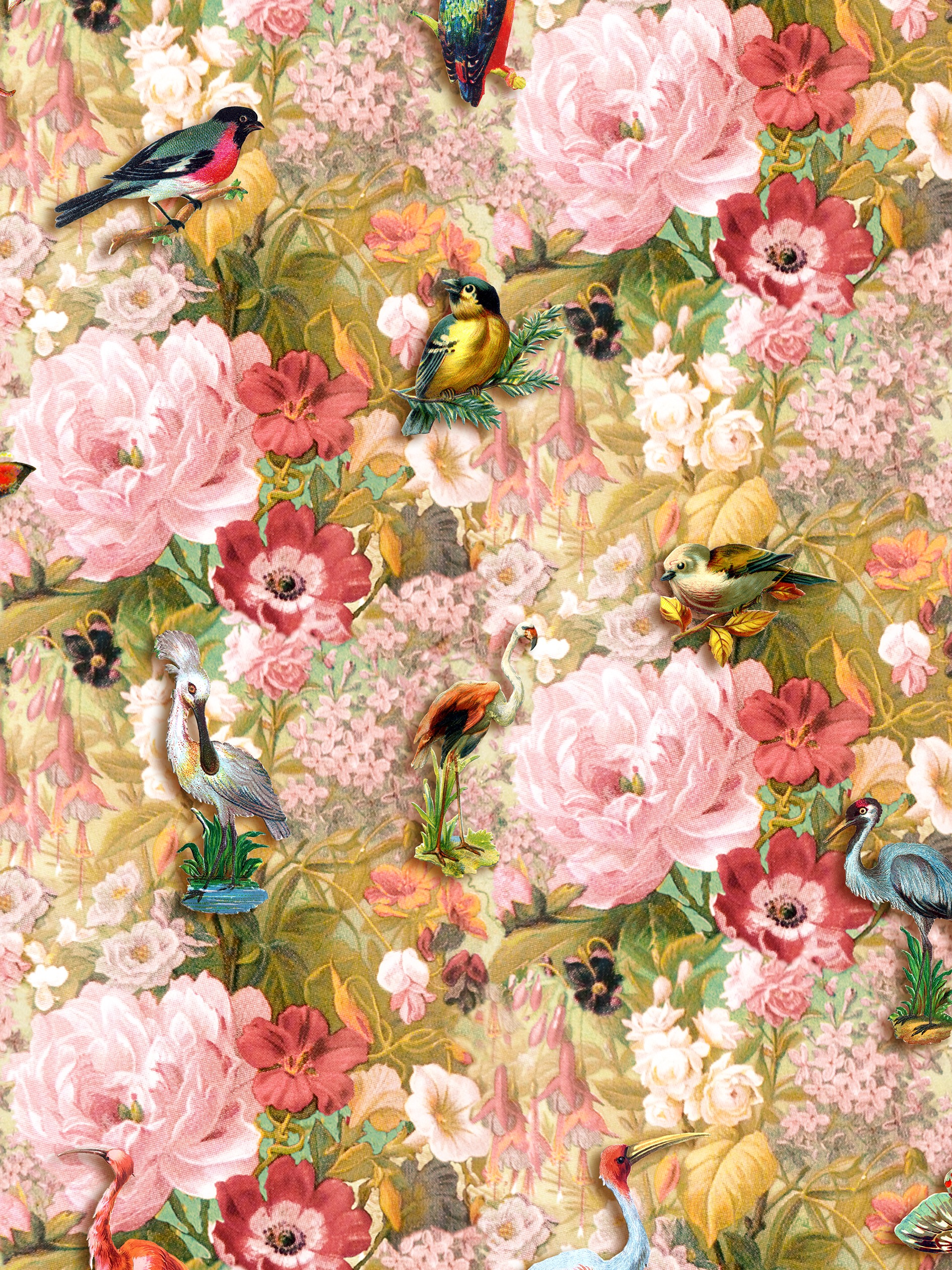 Oiseaux rares – Jardin anglais